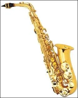 Le chat de Simone soufflait dans cet instrument à vent. Quel est son nom ?