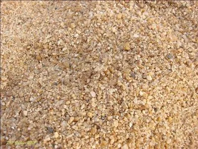 Celle-ci vous la rencontrez partout dans le monde, c'est une ...