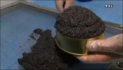 Si vous d&eacute;sirez le manger &agrave; la louche, achetez-le sur place, et prenez l'avion pour...