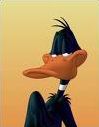 Quiz Canards