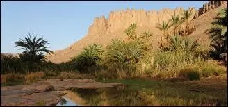 Quel est le régime de l'État algérien ?