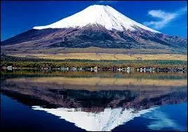 La langue nationale algérienne est :