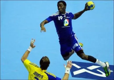 Luc Abalo était le seul grand absent de cette sélection, il n'a en effet pas pu être sélectionné à cause d'une blessure mais il reviendra vite jouer sous le maillot de l'équipe de France pour tenter de conquérir en 2016 un ___.