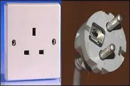 Comment sont ces deux organes l'un par rapport à l'autre ?