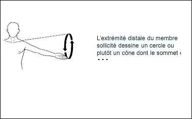 Ce sont des mouvements articulaires.