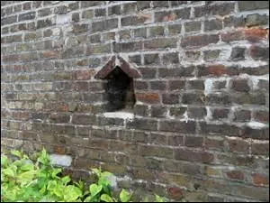 Le mot désigné par l'illustration correspond-il à blague, farce en langage familier ?