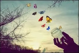 Si nous avons un stratagème, c'est donc qu'il s'agit de ---------.