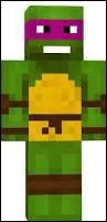 Quelle est cette tortue ninja en mode personnalisable ?
