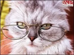 Vous devez mettre un infinitif si la phrase a un sens lors d'un remplacement du verbe par un verbe du troisième/deuxième groupe. Impossible de ... sans faire d'erreurs, n'est-ce pas ?