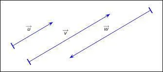 De combien de points a-t-on besoin pour déterminer les coordonnées d'un vecteur ?