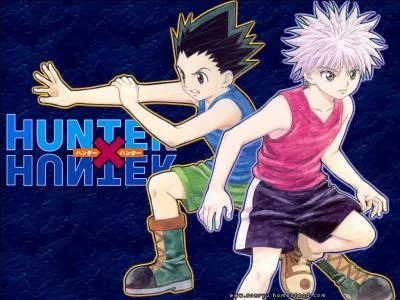 Dans "Hunter x Hunter", lequel de ces personnages n'a pas un hatsu de type renforcement ?