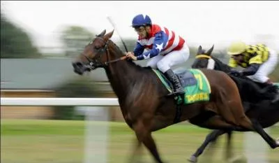 L'anglo-arabe descend de 2 différentes races. Lesquelles ?