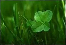 Quel substantif désigne le plaisir, la chance ?