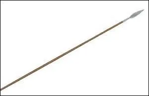 Il provient d'un jeu de lancer.