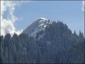 Cherchez dans le département de l'Ain.