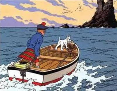 Quel est le titre de cet album de Tintin ?
