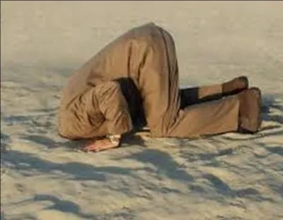 Quelle est la bonne expression ?