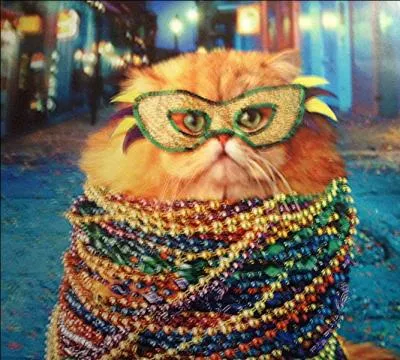 Les folies de ... se dévoilent pour la Toussaint.