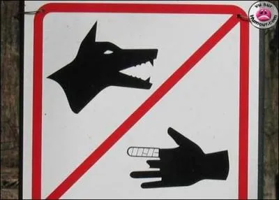 Février, ma foi, est un ... petit gars !