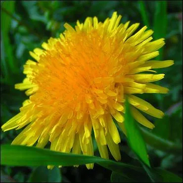 Trouvez le nom correspondant !