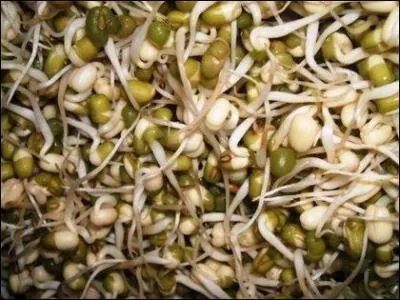 Crus ou cuits vous les aimerez tout autant pour vos préparations exotiques.