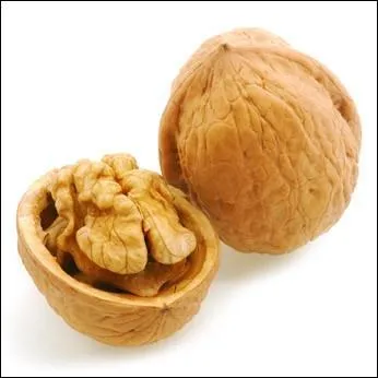 Entre Périgord et Limousin, vous trouverez une dizaine de variétés.