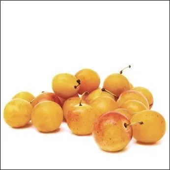 Où la cueillette de ce fruit vous conduira-t-elle ?