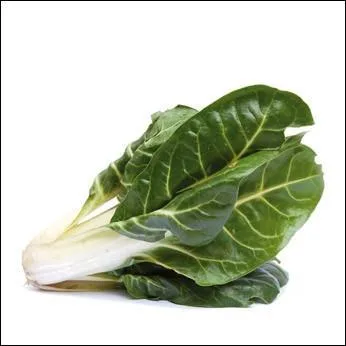 La chair de ses côtes est fondante, la feuille se cuisine tels les épinards.