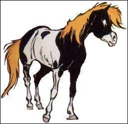 Ce poney s'appelle Petit Tonnerre.