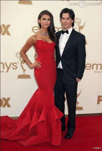 Pourquoi Damon et Elena cachent-ils leur relation à Stefan ?