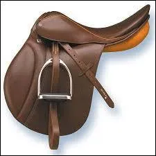 Comment s'appelle la partie où on s'assoit sur la selle ?