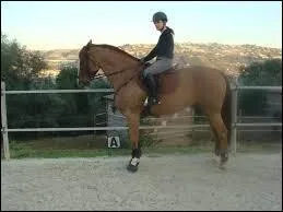 Que fait-on si le cheval n'avance pas ? (quand on est dessus)