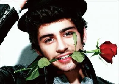Quel est le nom de famille de Zayn ?