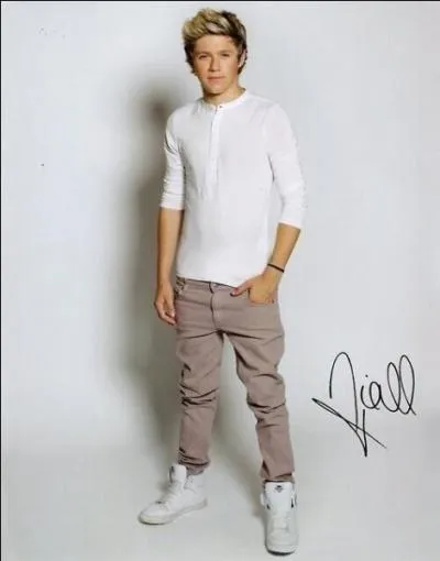 Quel est le nom de famille de Niall ?