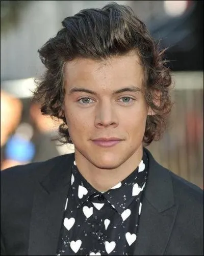 Quel est le nom complet de Harry ,