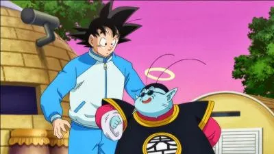 Pourquoi Goku fait-il cette tête ?