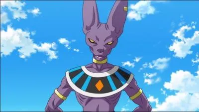 Qui est véritablement Beerus ?
