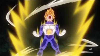 Pourquoi Vegeta est-il en colère ?