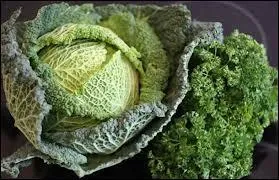 Comment obtient-on la couleur verte ?