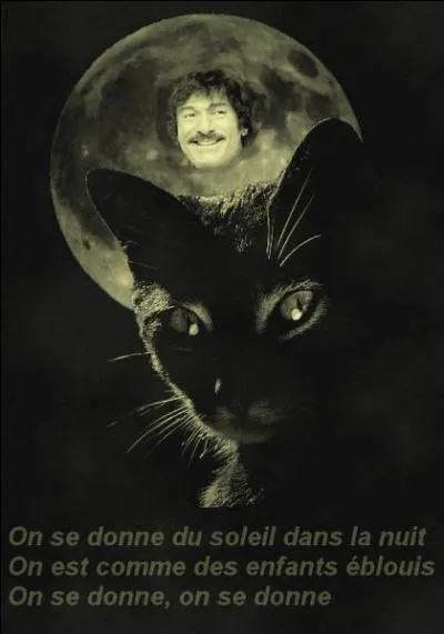 Qui chante"Du soleil dans la nuit"en 1988 ?