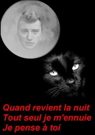 Qui chante"Quand revient la nuit"en 1966 ?