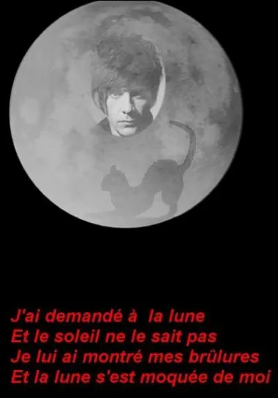 Qui chante"J'ai demandé à la lune"en 2002 ?
