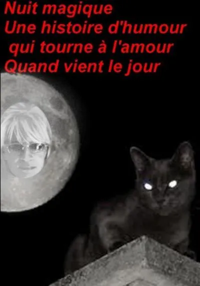 Qui chante"Nuit magique"en 1986 ?