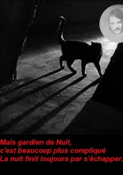 Qui chante"Gardien de nuit"en 2006 ?