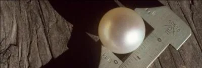 Cette perle est-elle unique au monde de par sa taille ?