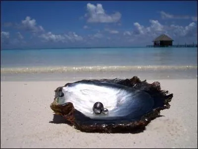 Dans sa magnifique chanson, que promettait Jacques Brel ?