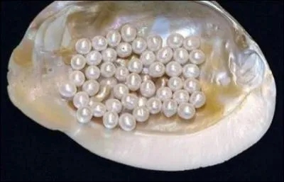 Quel est cet homme de caractères, qui a écrit "Après l'esprit et la discernation, ce qu'il y a au monde de plus rare, ce sont les diamants et les perles..." ?