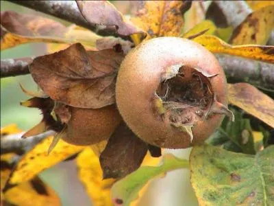 Et si je vous disais "rien du tout" ?