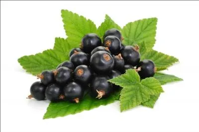 Continuez votre méditation et trouvez le nom de la ville !