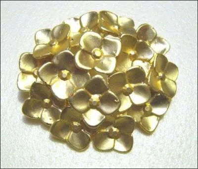 Frêne à fleurs, frêne à manne, à fleurs blanches odorantes :